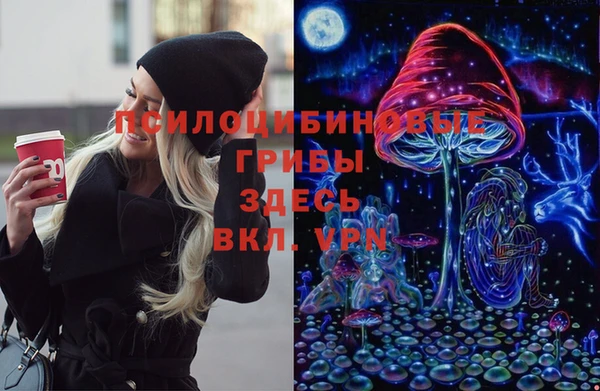 прущий лед Надым