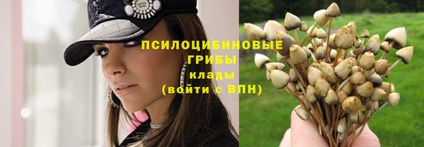 сатива Навашино