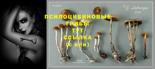 сатива Навашино