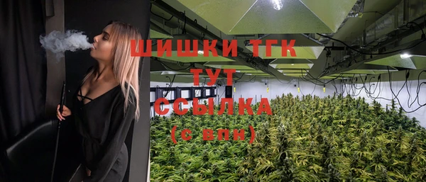 прущий лед Надым