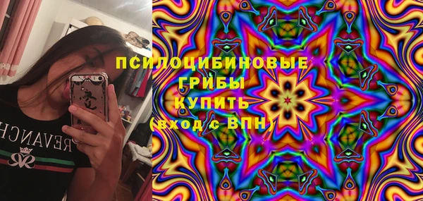 дживик Аша