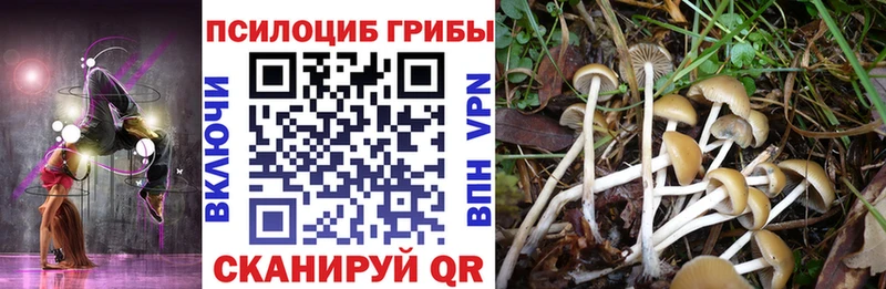 Псилоцибиновые грибы ЛСД Ленинградская